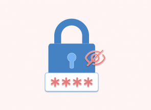 Password Show/Hide Extension for Magento 2
